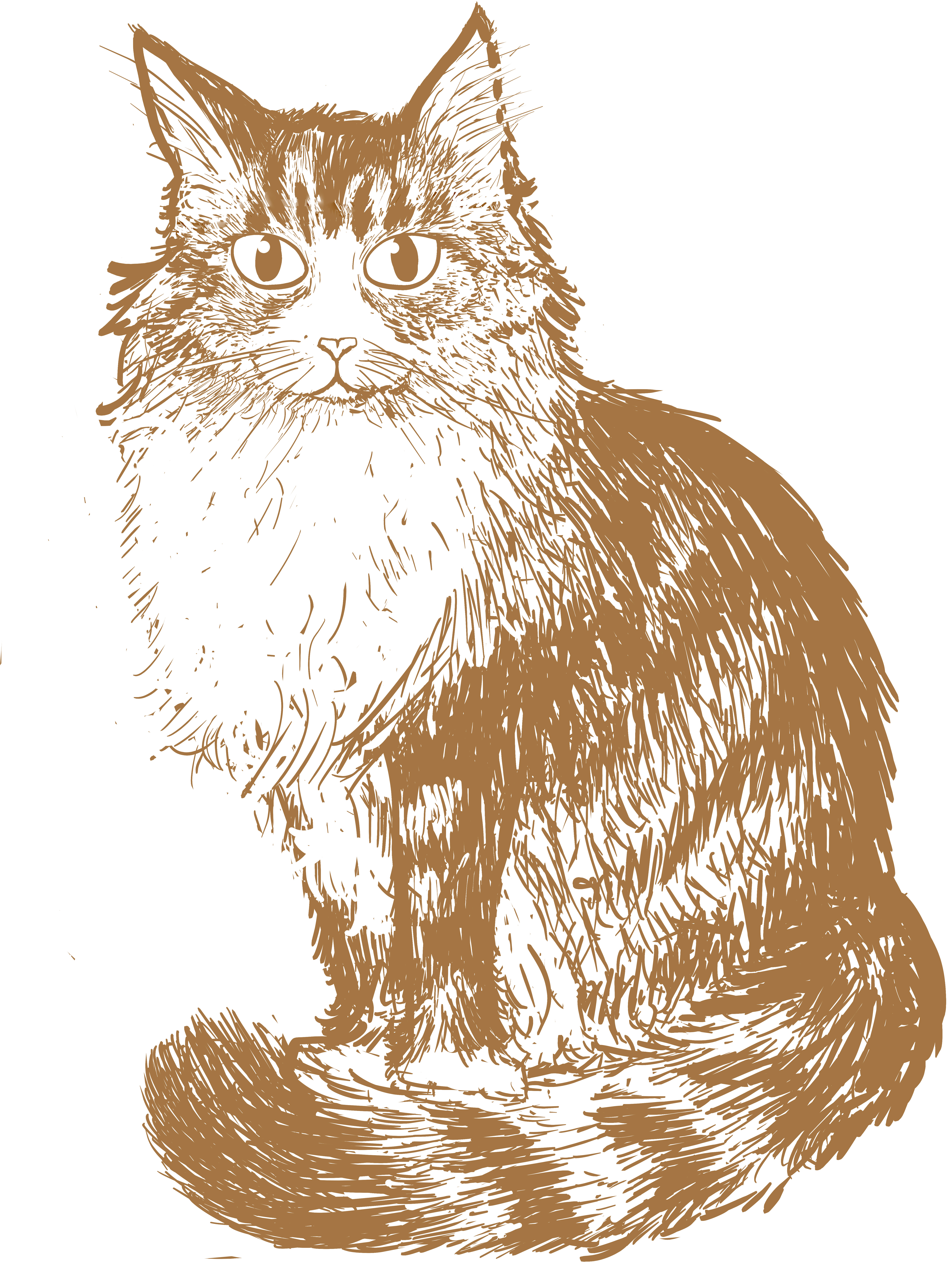 A digital illustration of a fluffy tabby cat.